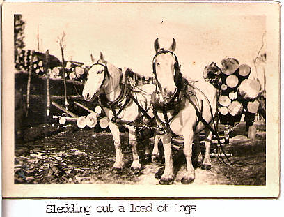Horses pulling logging sleighs, Taylor Rapids, Wisconsin, circa 1930, photograph used with permission from the Knapp Family