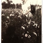 Emma Primely Knapp in her flower garden, Taylor Rapids, Wisconsin, September 3, 1923.