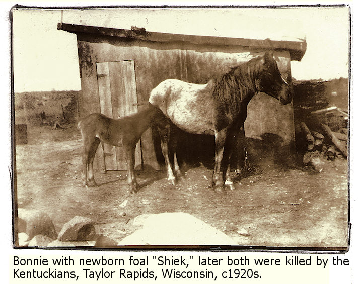 Horses, Bonnie and Shiek, were killed by local Kentuckian bullies, Taylor Rapids, Wisconsin